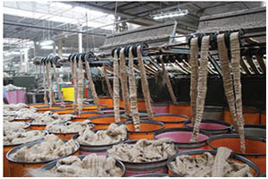 Processing individual Jute Fibres