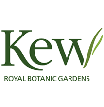 Kew logo