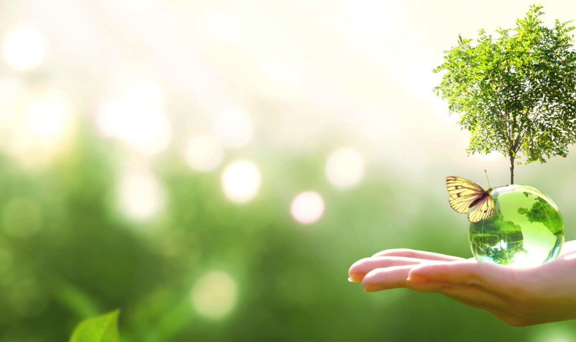 Antimicrobial Bag Benefits