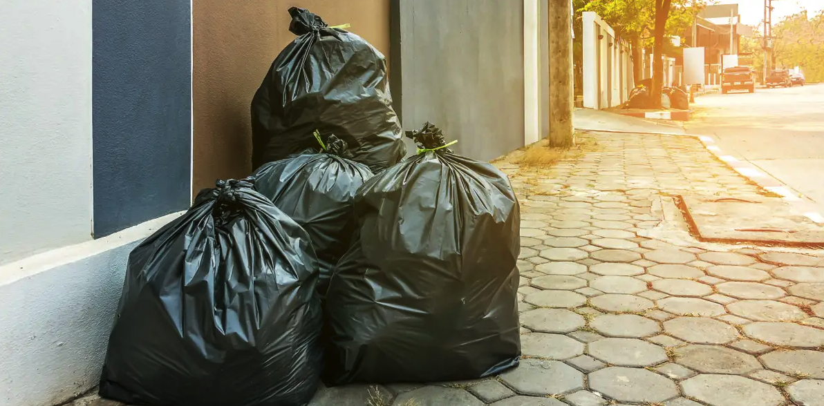 Alternatives to Plastic Trash Bags