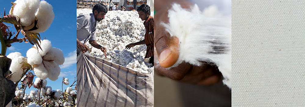 Cotton Processing Cotton Processing