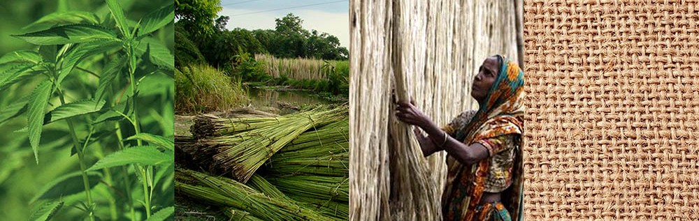 Jute Processing Jute Processing