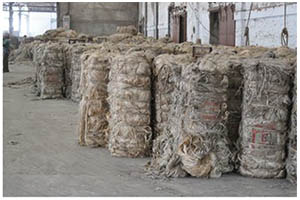 Raw Jute Fibres