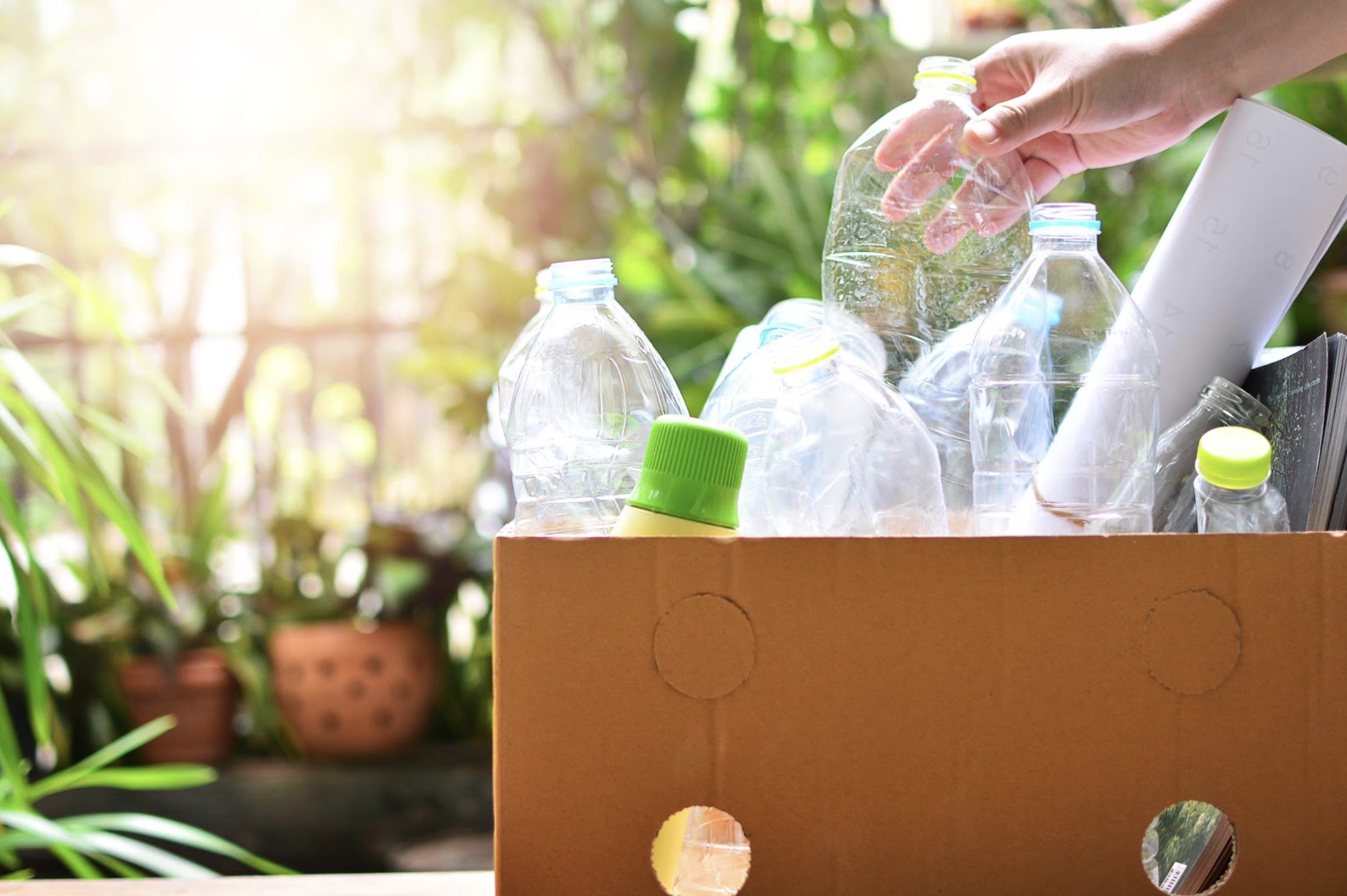What Does Non-Biodegradable Mean?