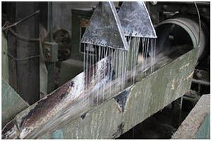 Washing Raw Jute Fibres